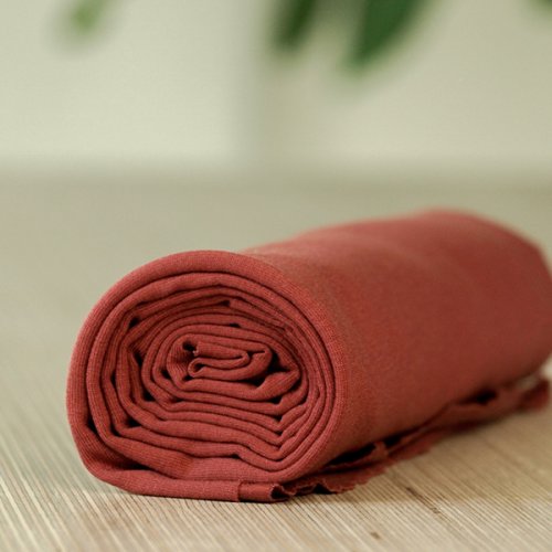 Stretch Jersey mit TENCEL™ - cider - MeetMilk